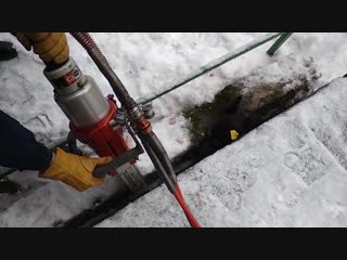 perm rescuers helped the dog get out from under the concrete slab