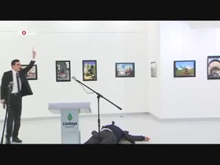 assassination of russian ambassador karlov